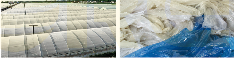 Línea de lavado de reciclaje de películas PE/PP (500-1000 kg/h)
