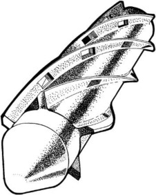 Turbo-tornillo del extrusor